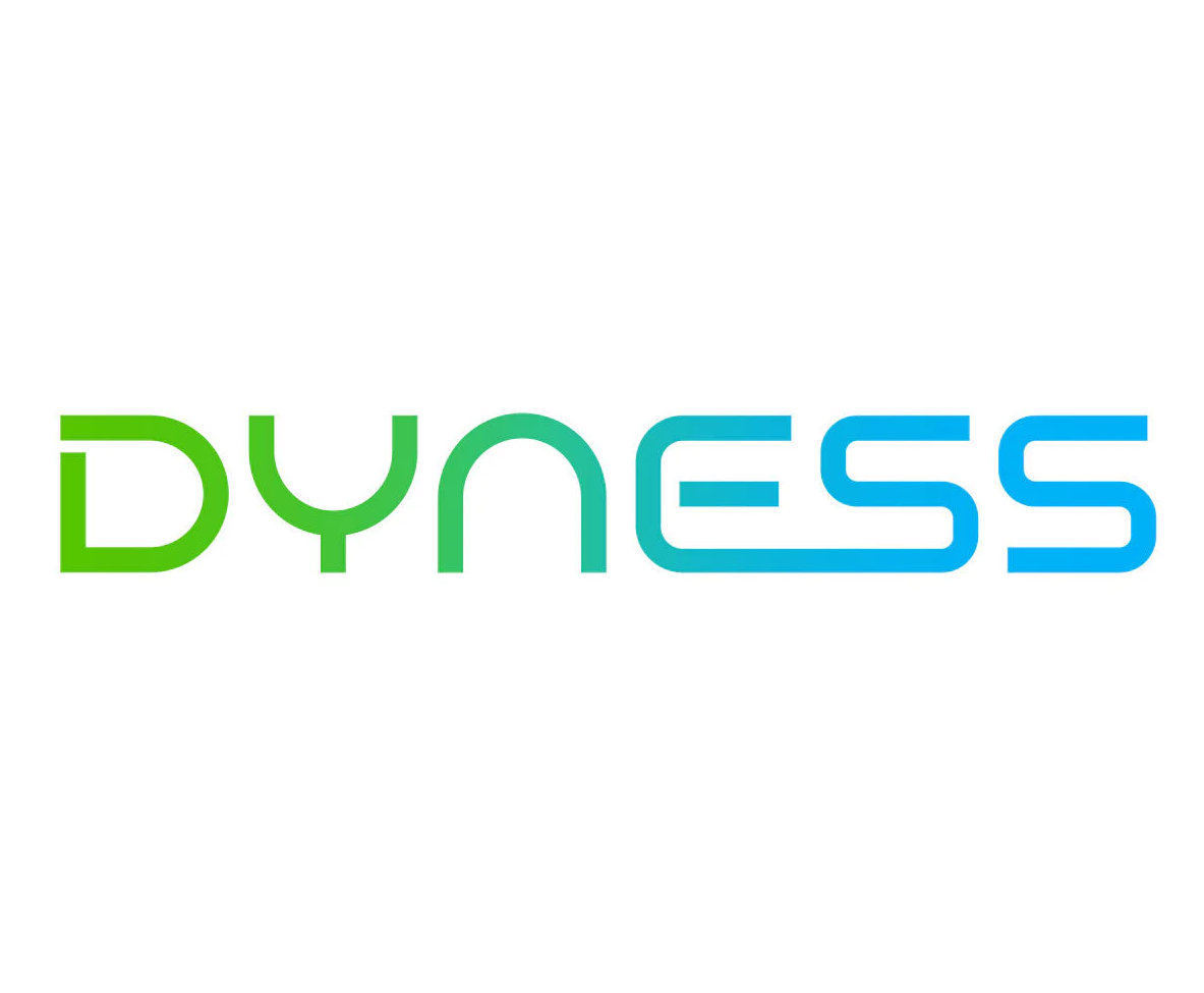 Dyness
