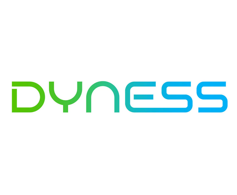 Dyness